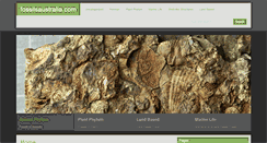 Desktop Screenshot of fossilsaustralia.com